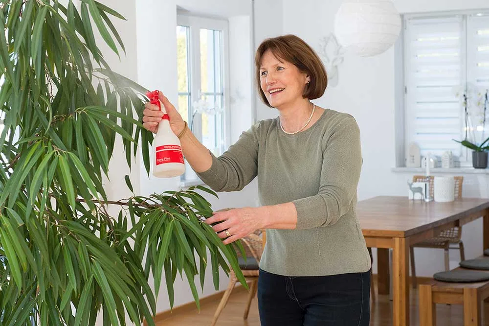 BIRCHMEIER Handsprühgerät Foxi Plus, 360°-Funktion, 500 ml