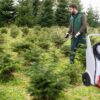 BIRCHMEIER 12072701 Zweirad Akku-Drucksprühgerät A 50 AC1 für Garden, 50 Liter