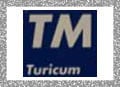 Turicum